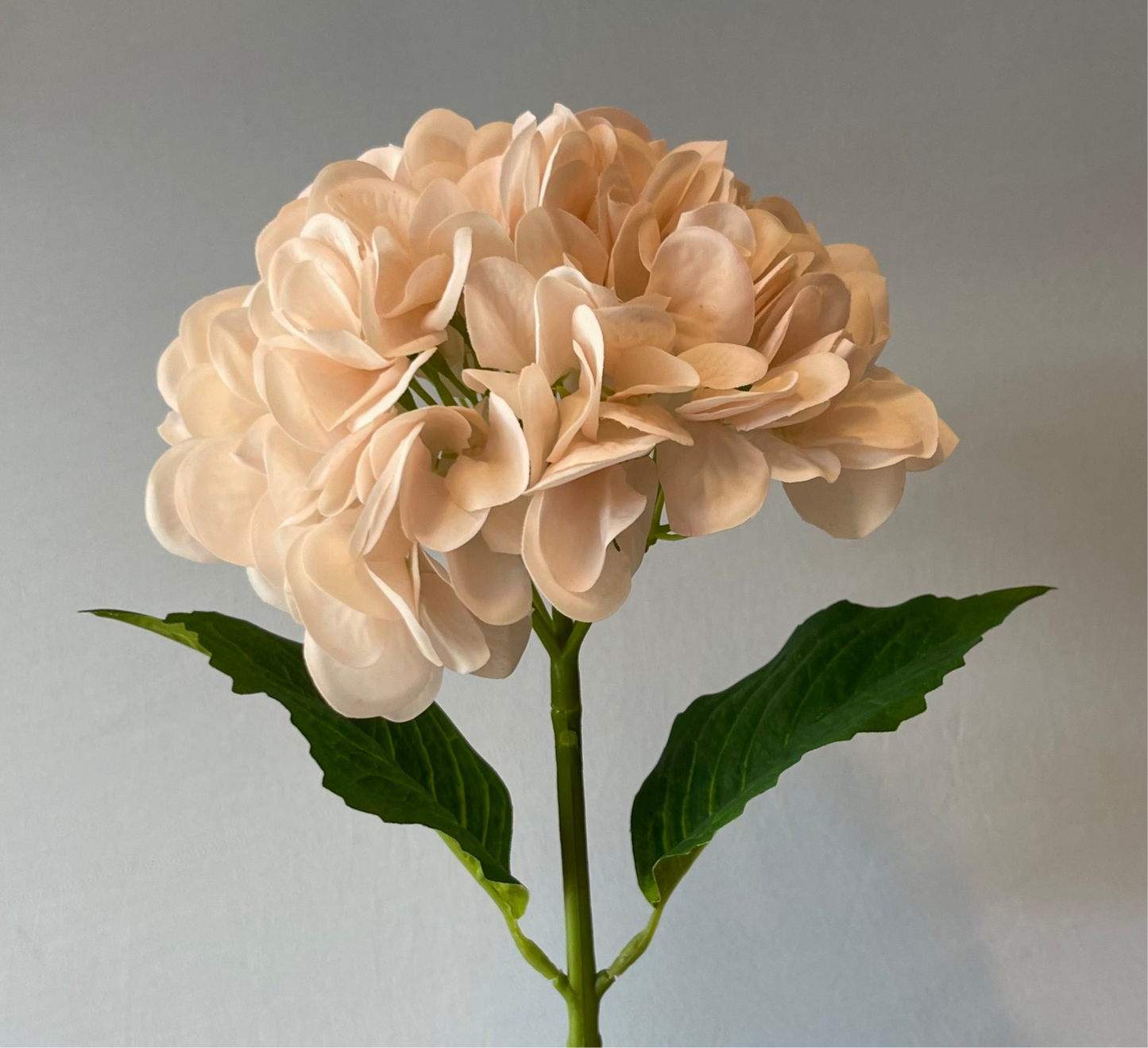 Real Touch Champagne Hydrangea Single Stem Artificial Flower
