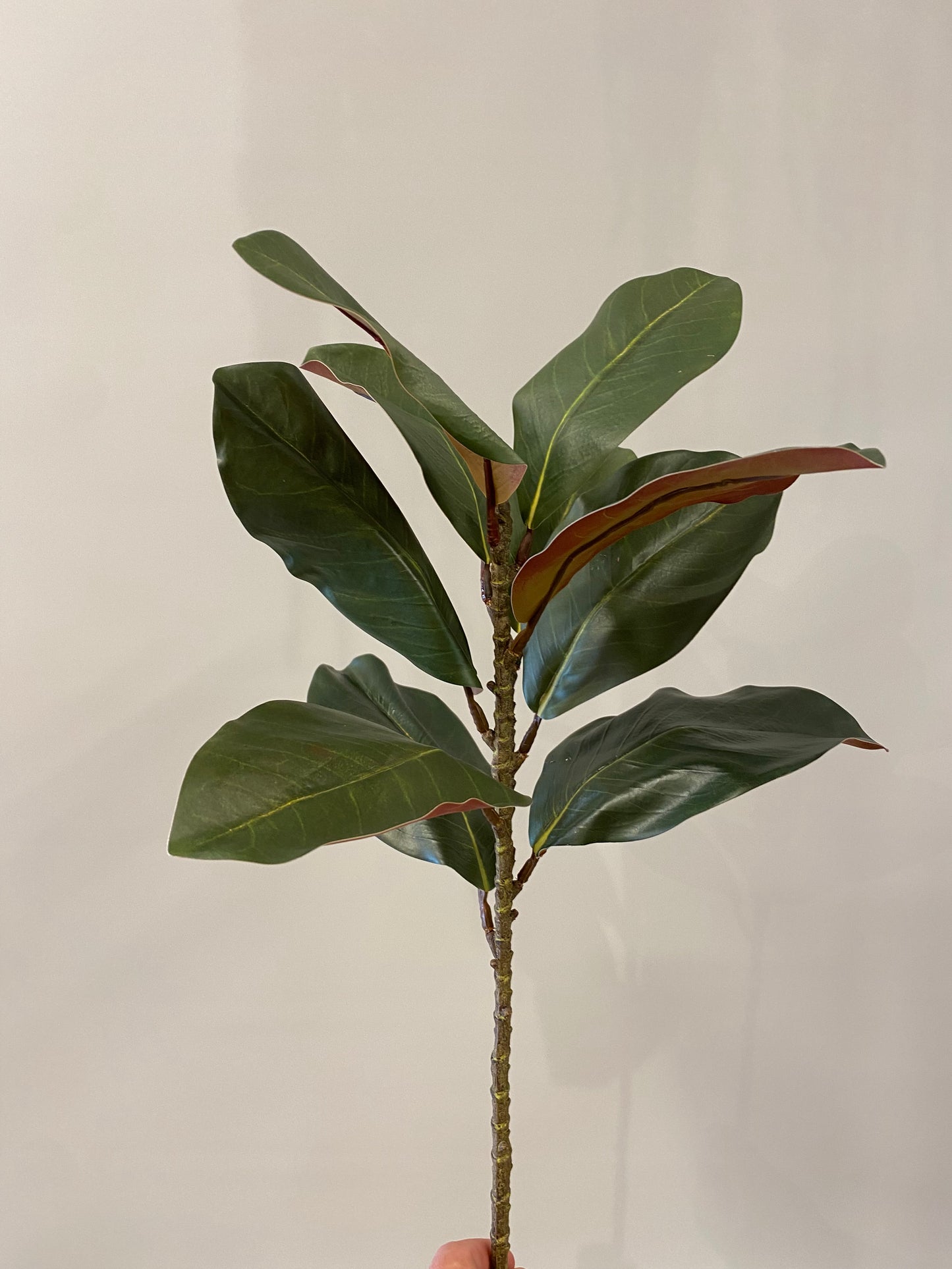 Real Touch Magnolia Green Single Stem Artificial Faux Flowers Large leaf