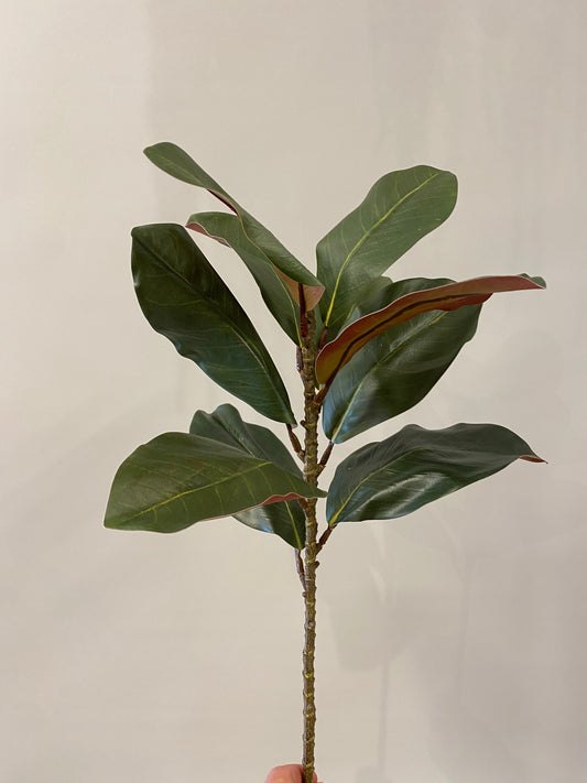 Real Touch Magnolia Green Single Stem Artificial Faux Flowers Large leaf