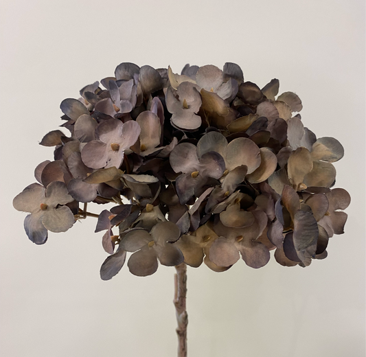 Hydrangea Single Stem Liquorice Silk Artificial Flowers Faux Flowers