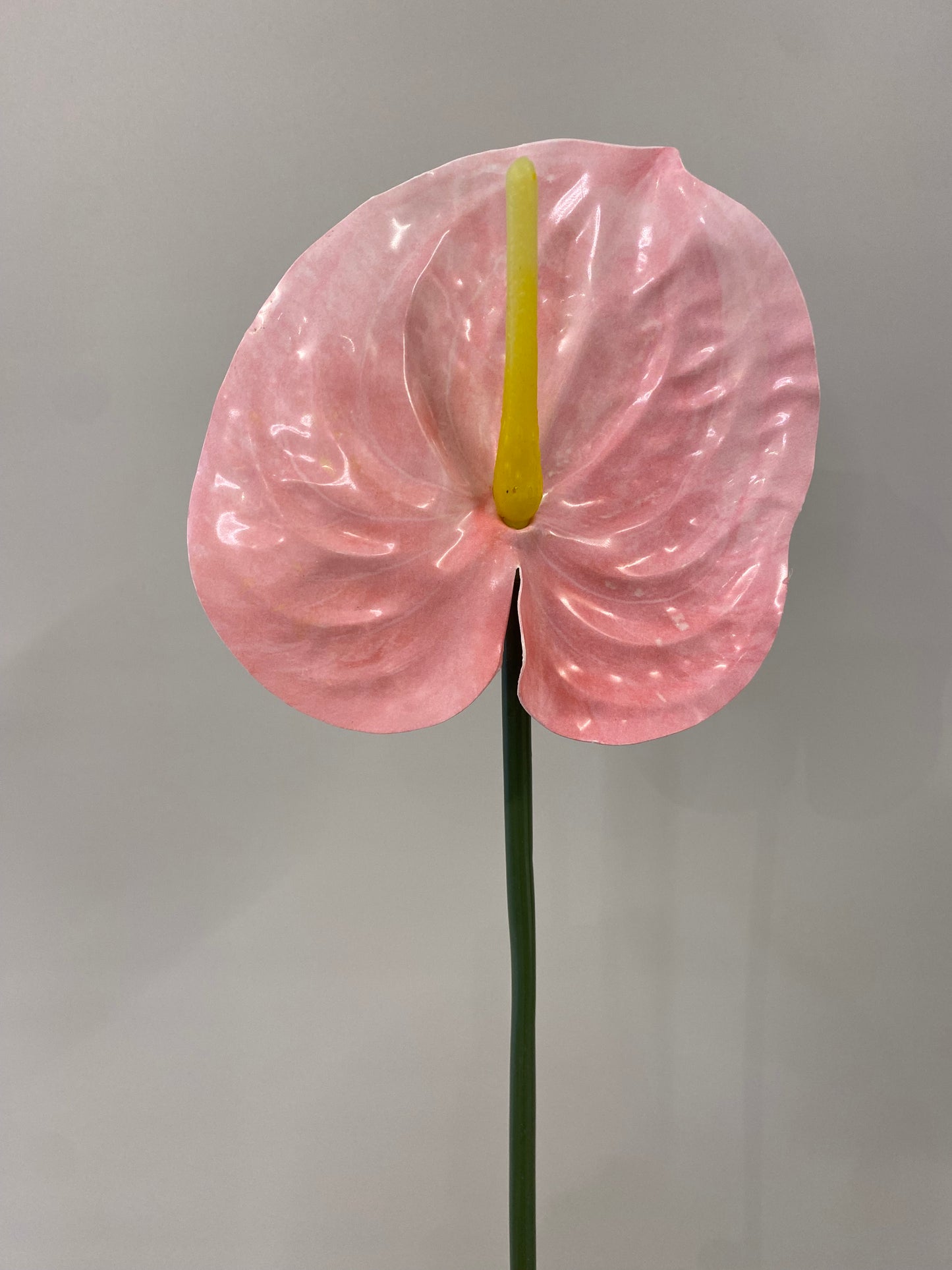 Anthurium Blush Single Stem Artificial Flowers Large