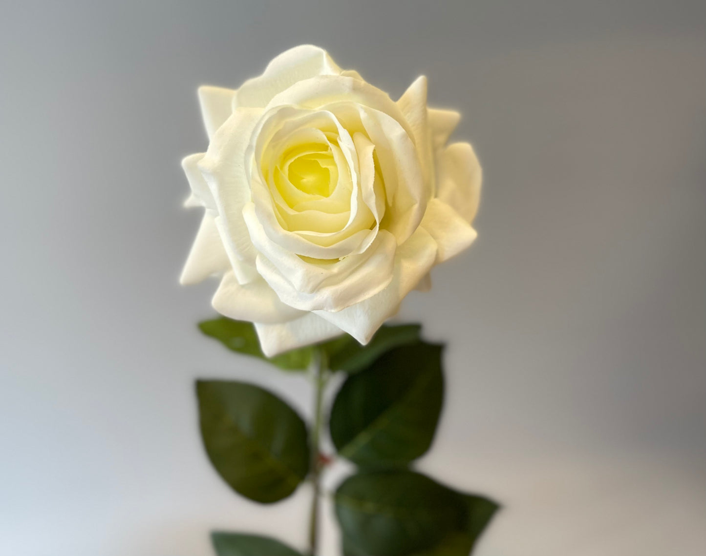 Real Touch White Hannah Rose Green center Single Stem  Artificial Flower