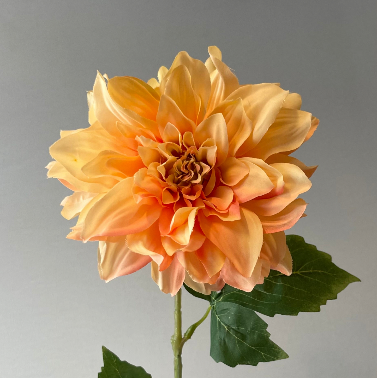 Champagne Dahlia (Artificial flowers Faux Flowers)