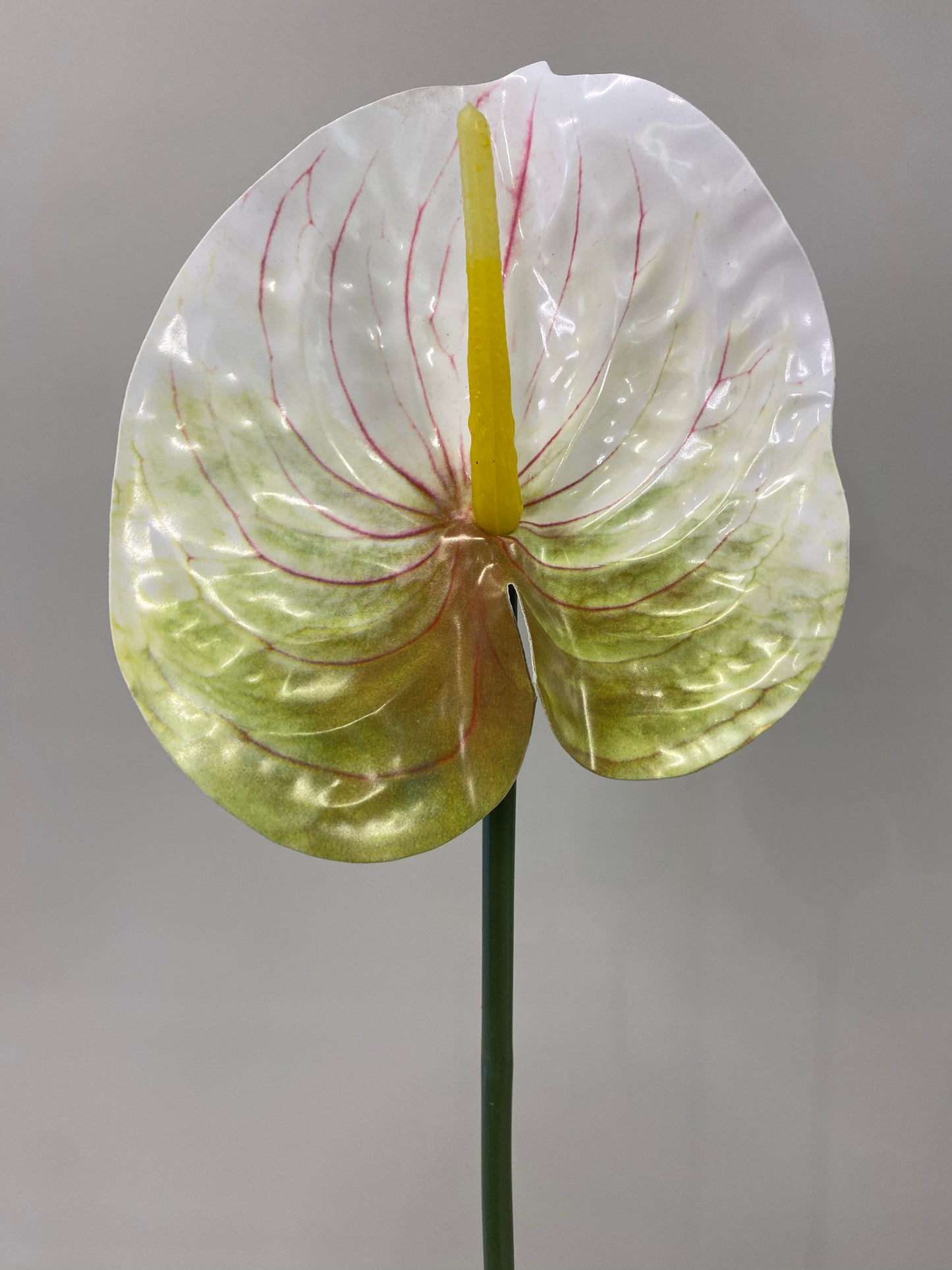 Green and white Anthurium single stem Artificial Flowers large