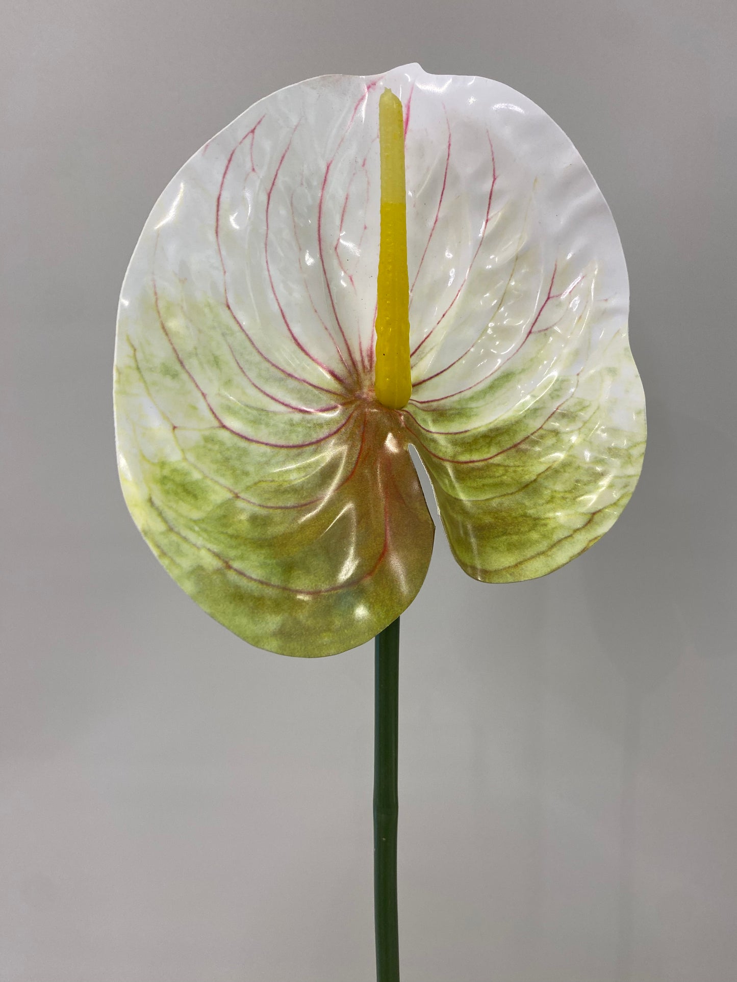Green and white Anthurium single stem Artificial Flowers large