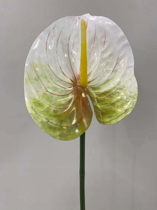 Green and white Anthurium single stem Artificial Flowers large
