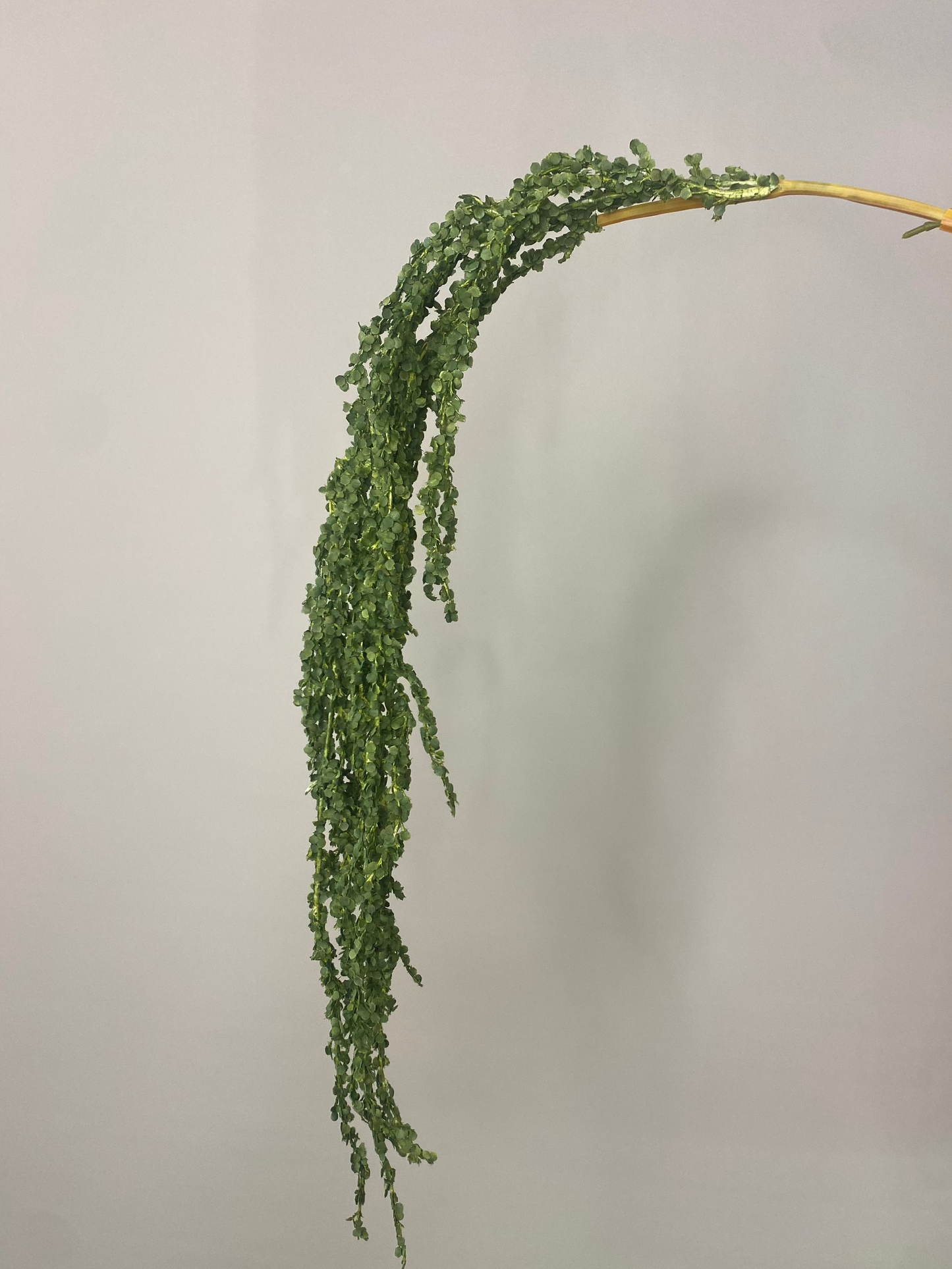 Real Touch Green Amaranthus Single Stem Artificial Faux Flowers