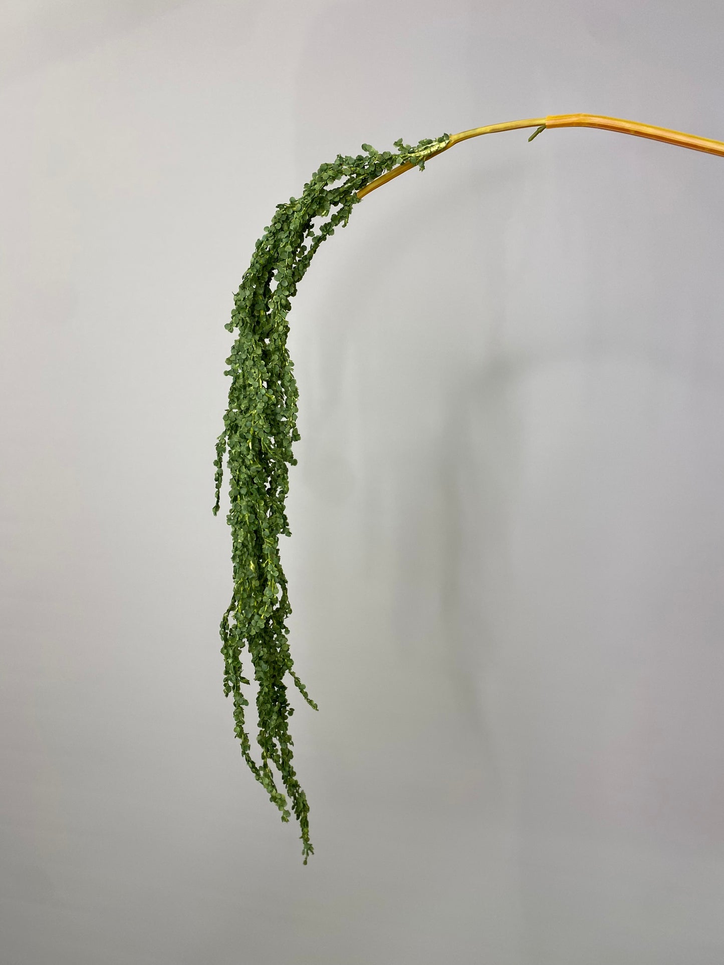 Real Touch Green Amaranthus Single Stem Artificial Faux Flowers
