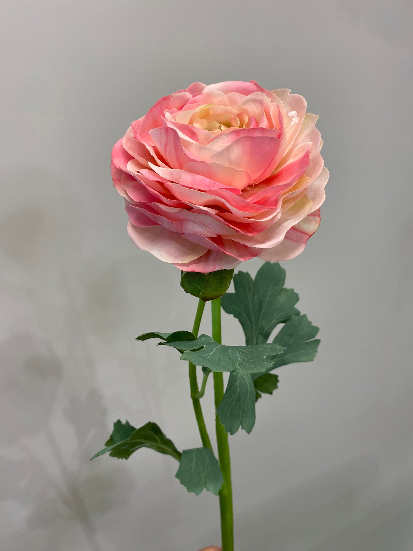 Real Touch Pink Ranunculus Single Stem Artificial Faux Flowers