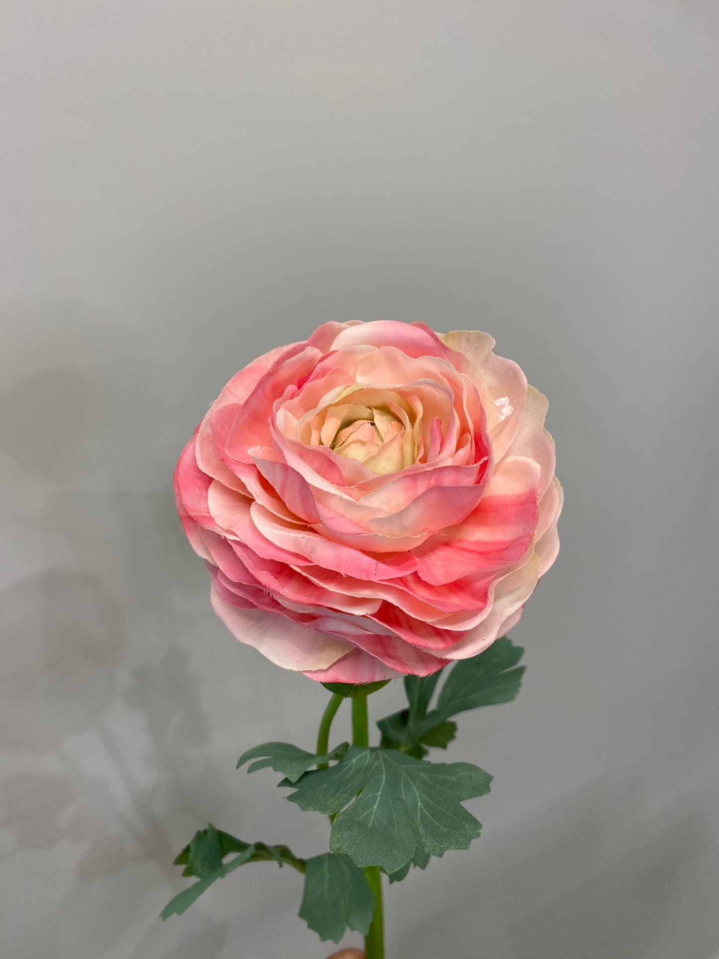 Real Touch Pink Ranunculus Single Stem Artificial Faux Flowers