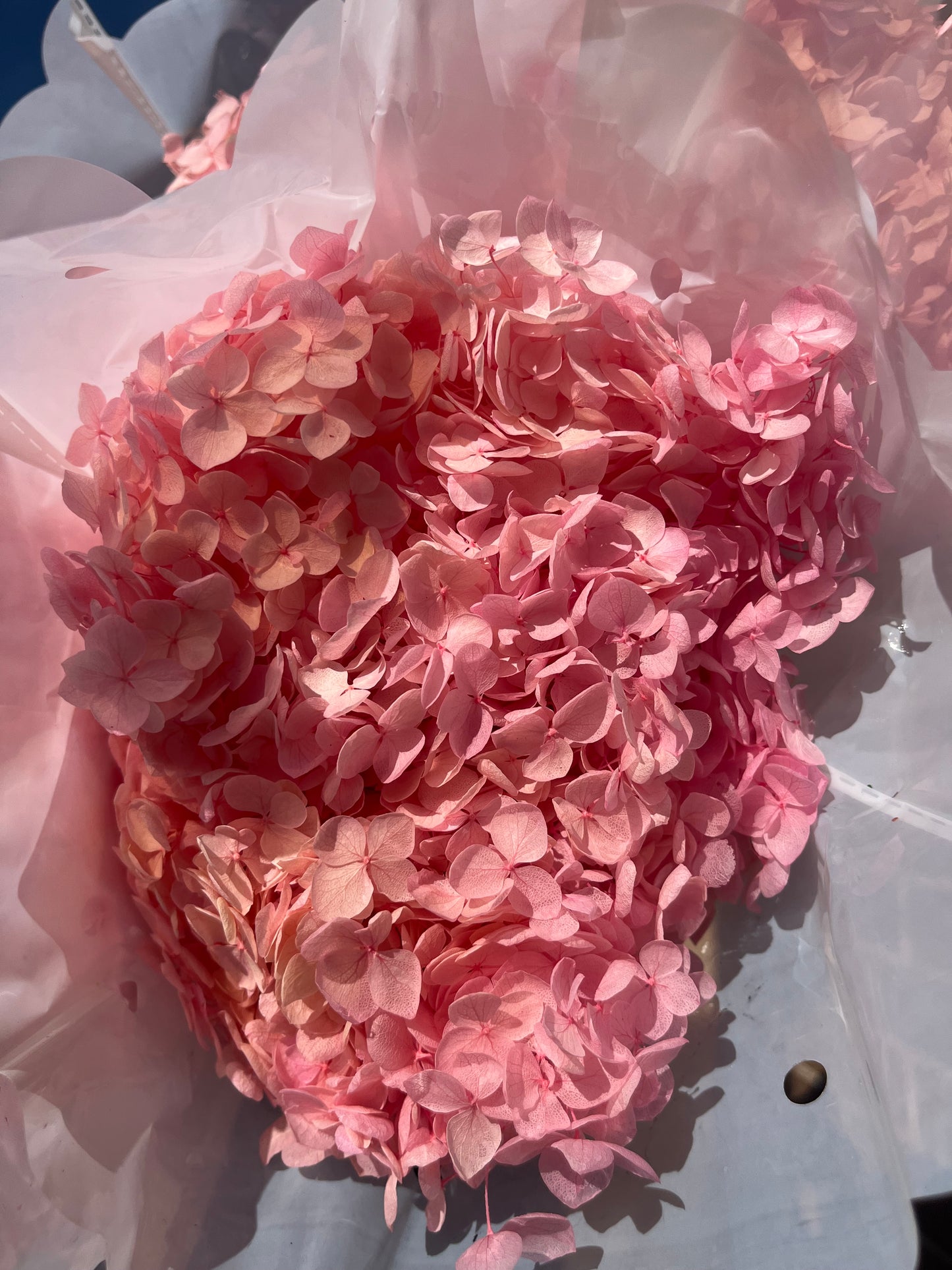 Light Pink Dried Hydrangea Single Stem