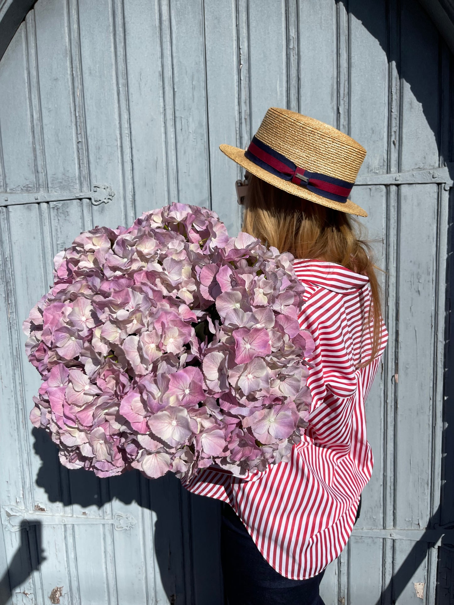 Light Pink Hydrangea Single Stem