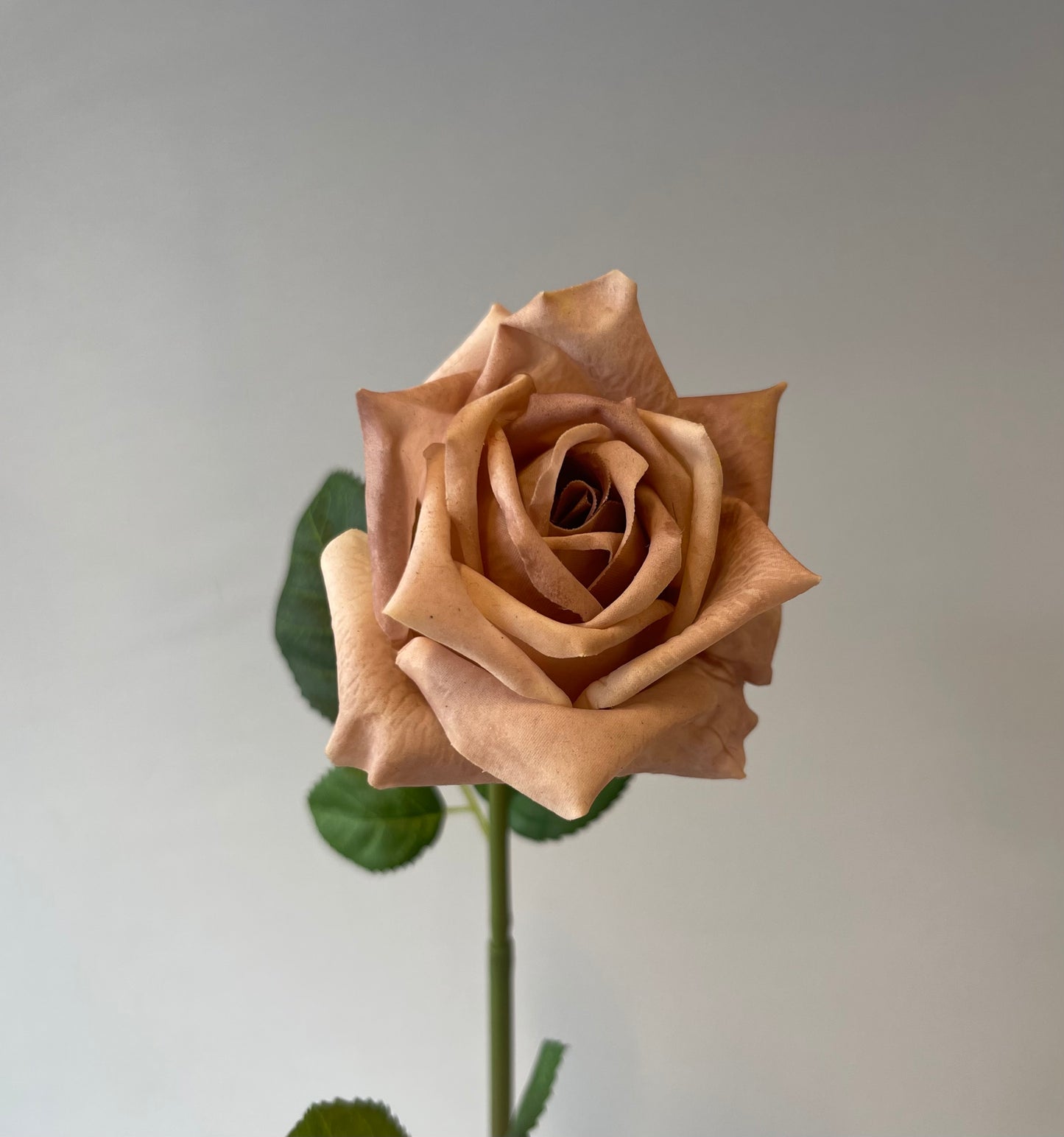 Real Touch Coffee Lola Rose Single Stem Artificial Flowers