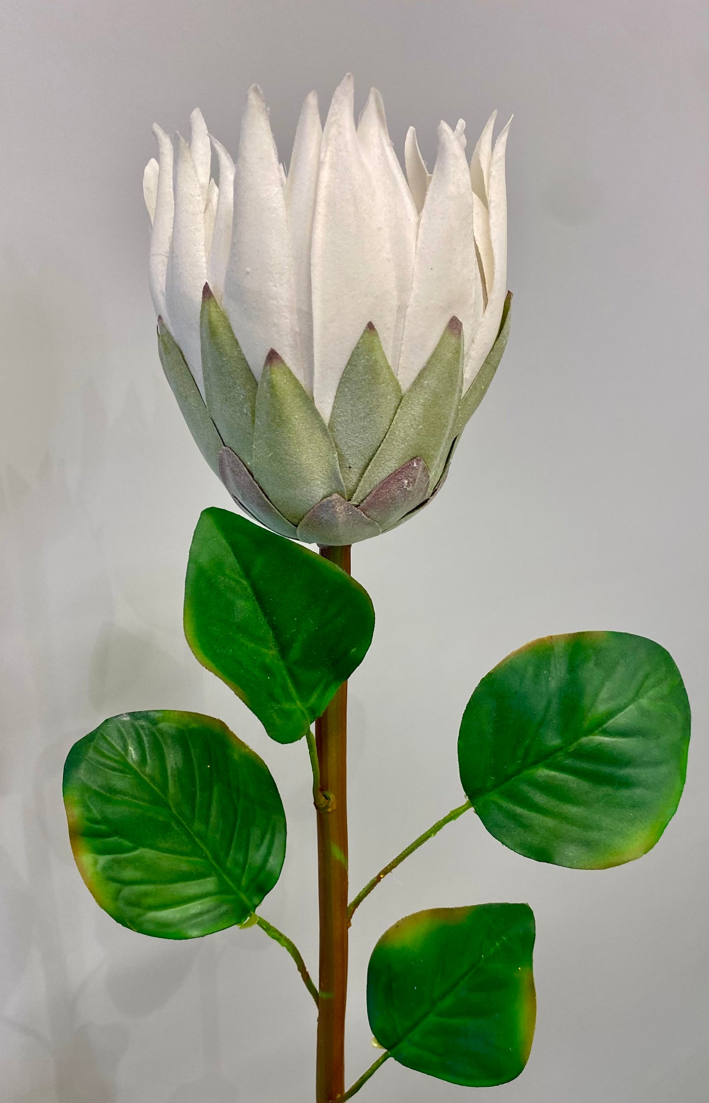 White King Protea Large Single Stem Artificial Flowers