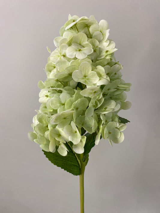 Hydrangea Paniculata Cone Real Touch Light Green  Single Stem - Artificial Flowers