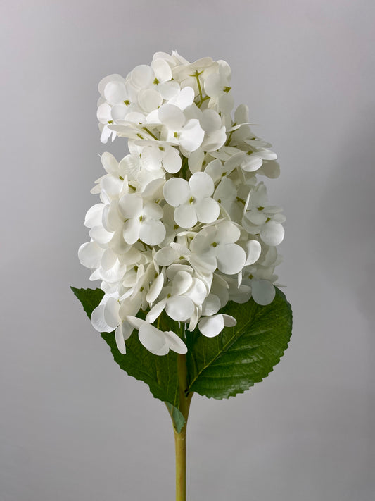 Hydrangea Paniculata Cone Real Touch White  Single Stem - Artificial Flowers