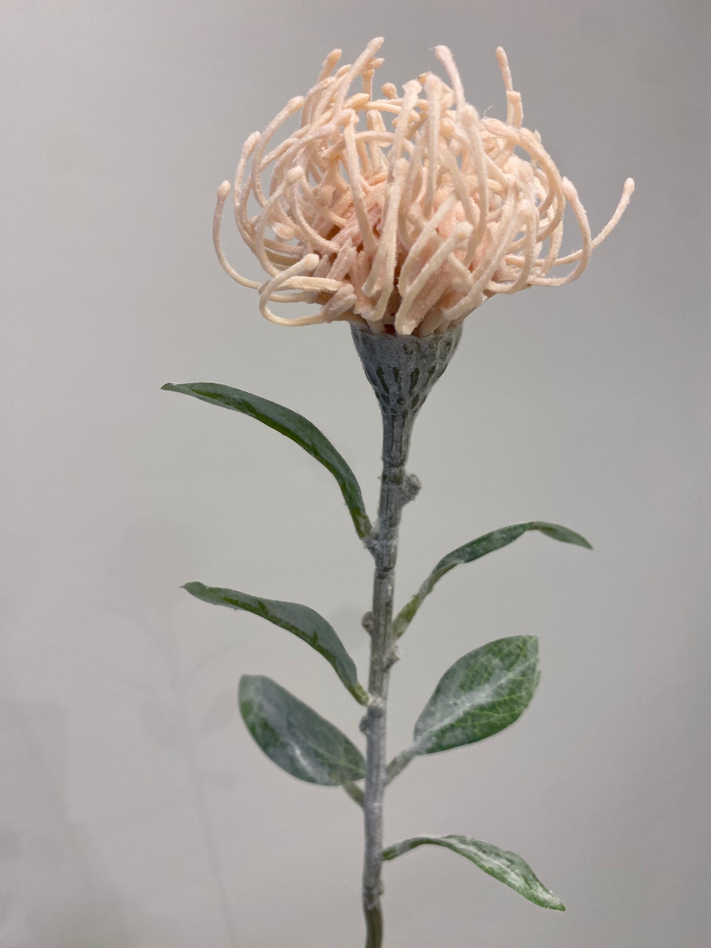 Soft Pink Protea Leucospemum Single Stem Artificial Flowers,