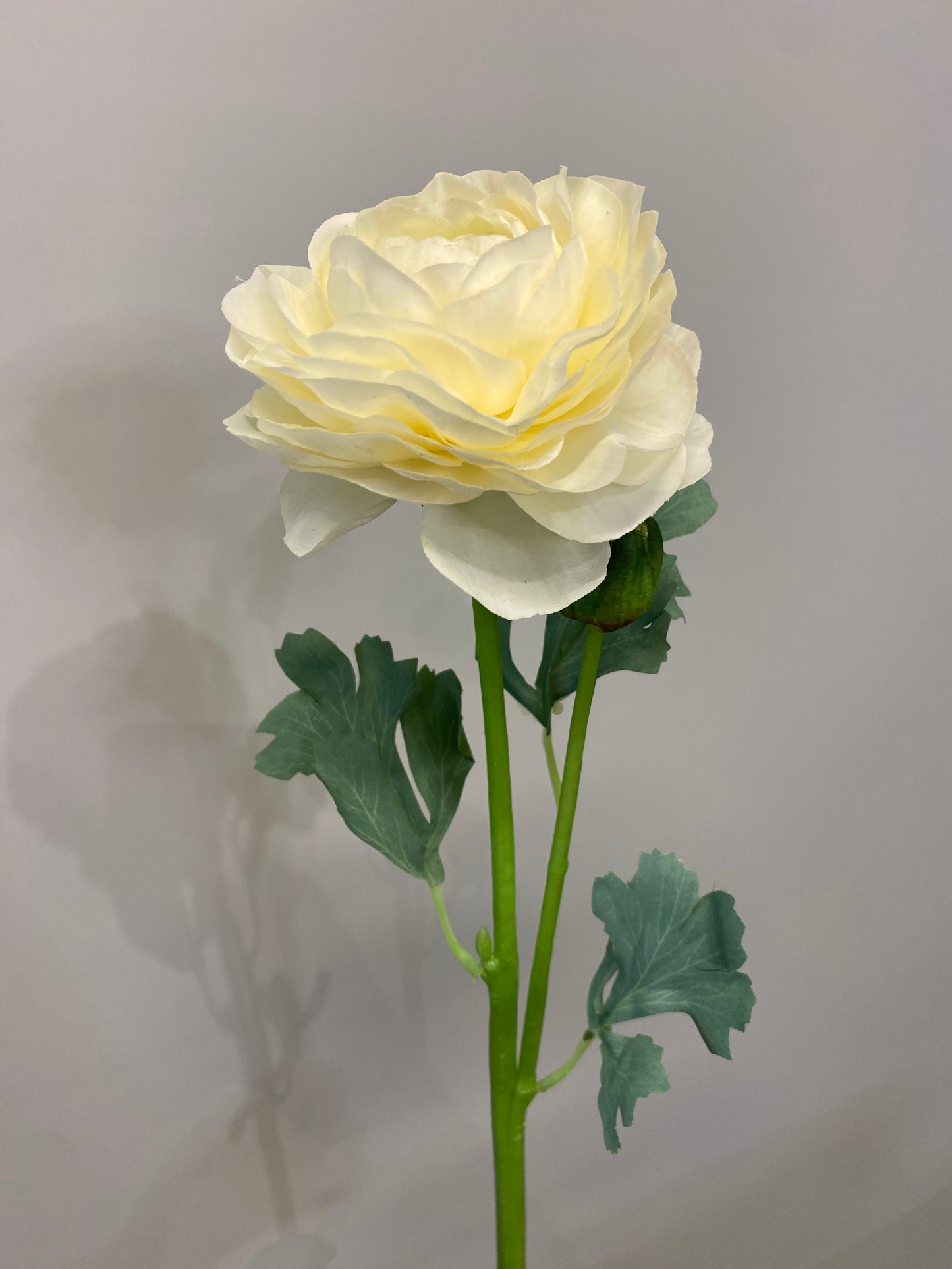 Real Touch White Ranunculus Single Stem