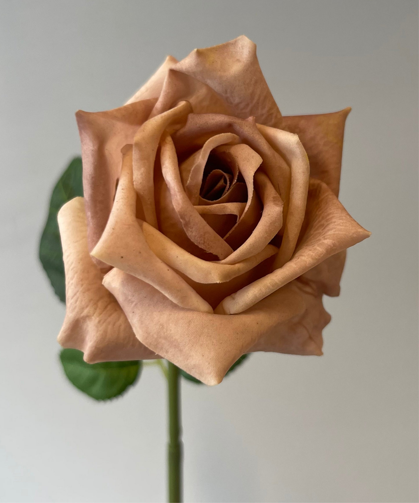 Real Touch Coffee Lola Rose Single Stem Artificial Flowers