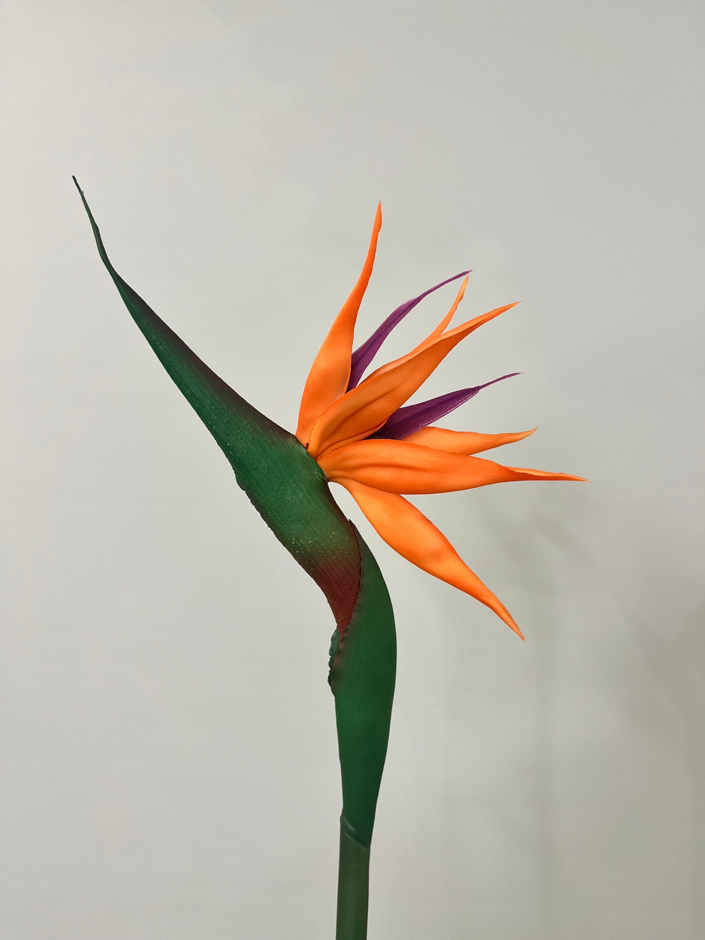 Birds of Paradise Single Stem Artificial Flowers Faux Flowers