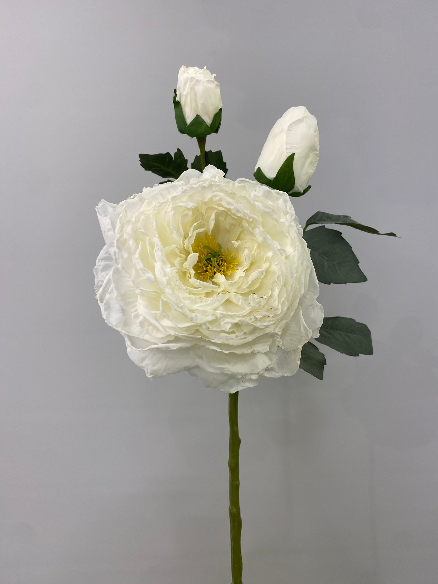 Cream Burnt Peony Single Stem Artificial Flowers Faux Flowers
