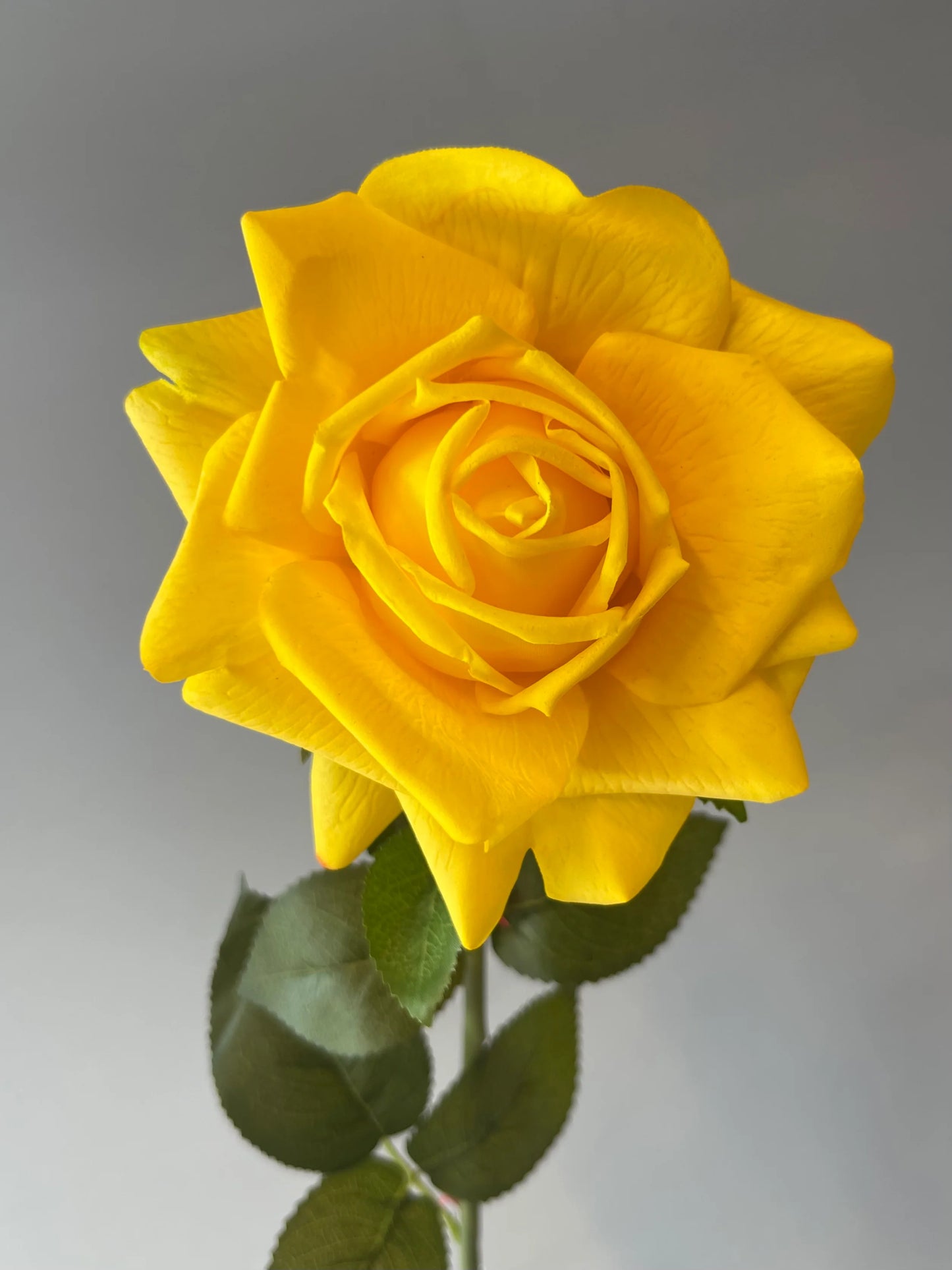 Real Touch Bright Yellow Tiarna Rose Single Stem Artificial Flowers Faux Flowers