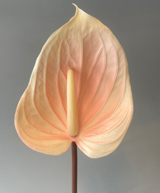 Soft Pink Anthurium Single Stem  Artificial Flowers Faux Flowers