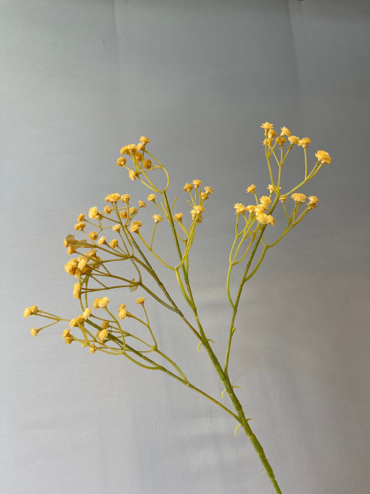 Yellow Honey Baby’s Breath Single Stem Artificial Flower Faux Flower