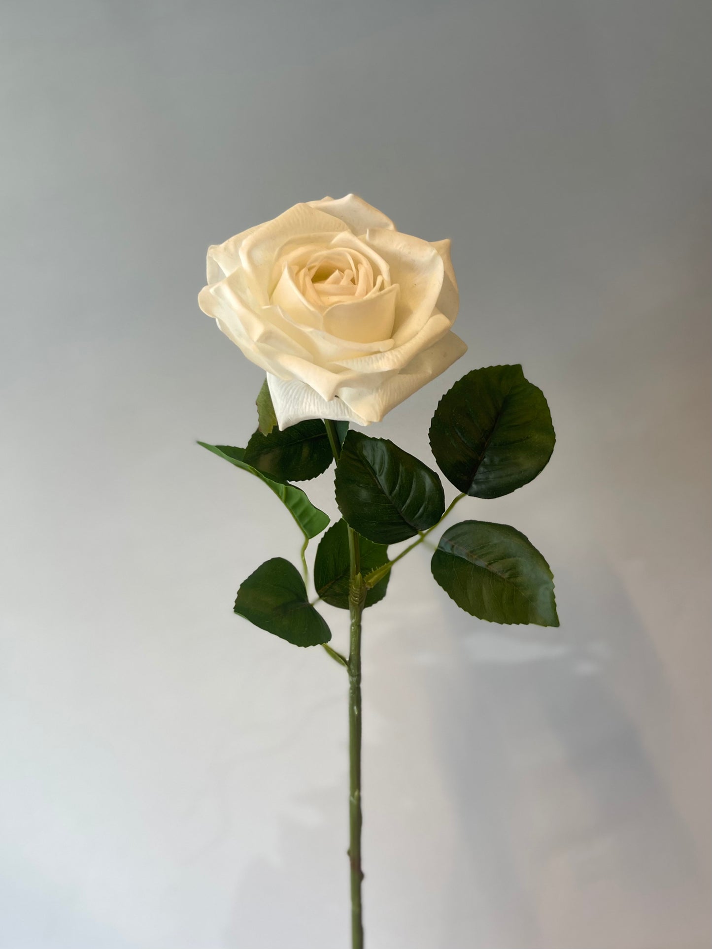 Real Touch Ivory Clara Rose Single Stem Artificial Flowers Faux Flowers