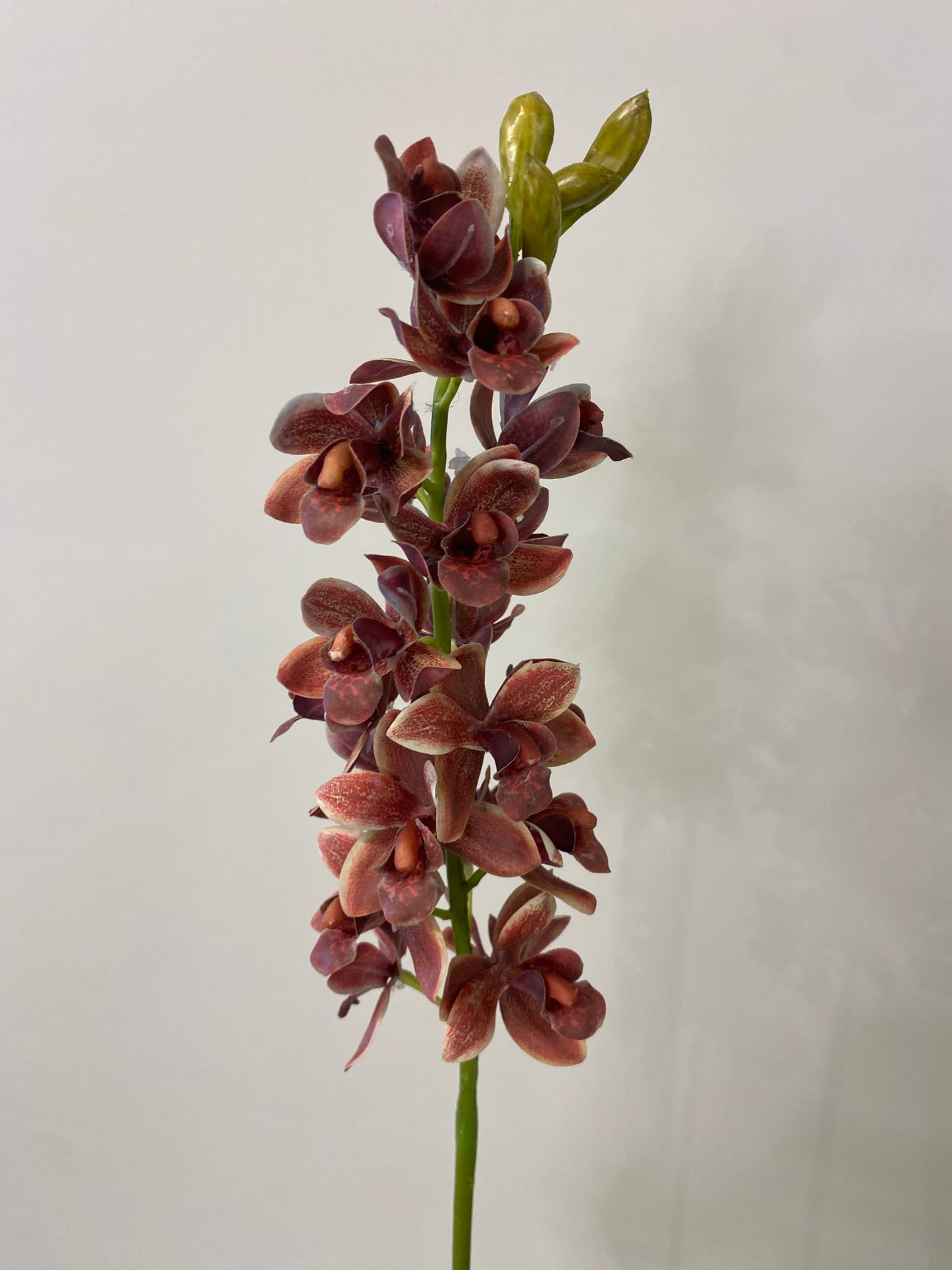 Real Touch Burgundy Orchid Cymbidium Single Stem Artificial Faux Flowers