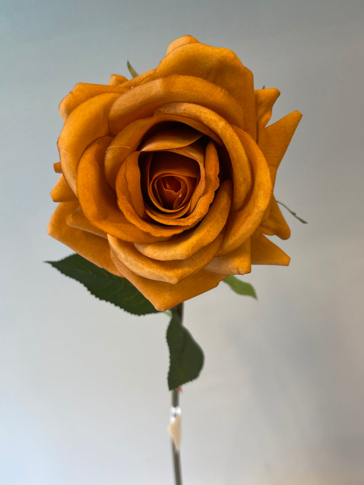 Toffee Roses Real Real Touch Toffee Hannah Rose Single Stem Artificial Flowers ...
