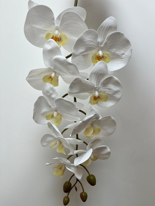 Real Touch White Orchid Single Stem