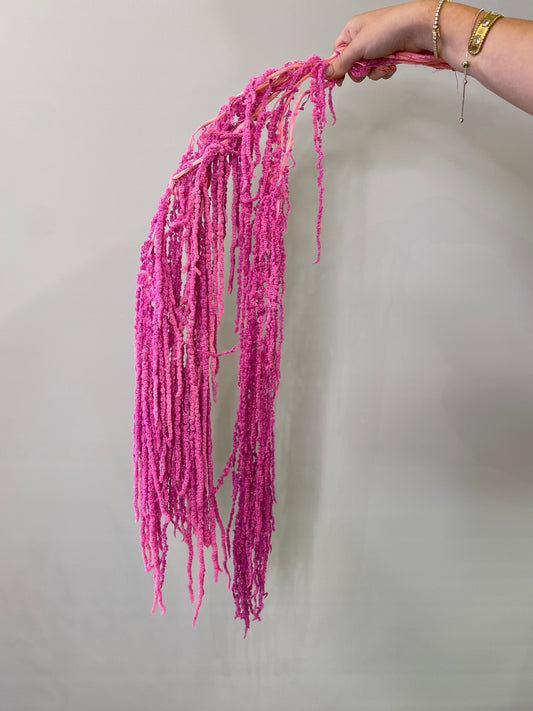 Amaranthus Dried Pink Preserved Flower