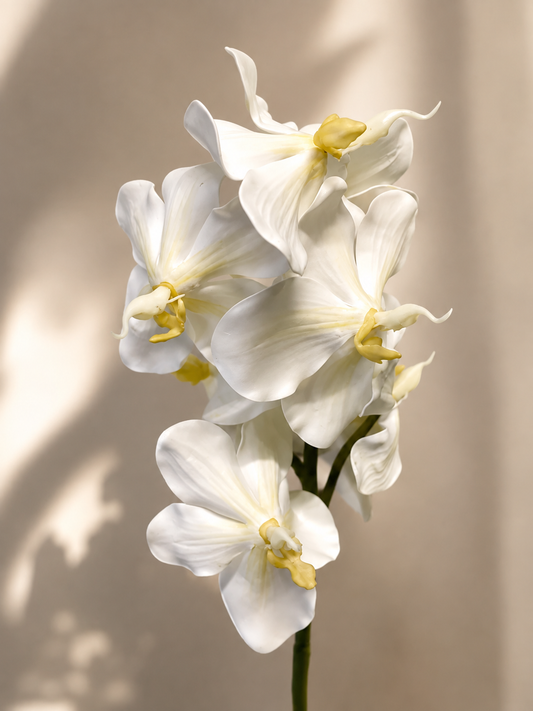 Real Touch White Vanda Orchid Single Stem Artificial Faux Flowers