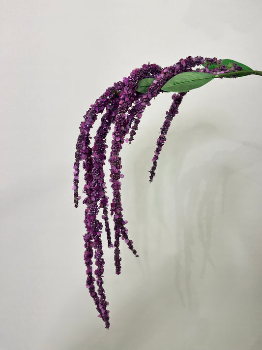 Purple Hanging Amaranthus Single Stem