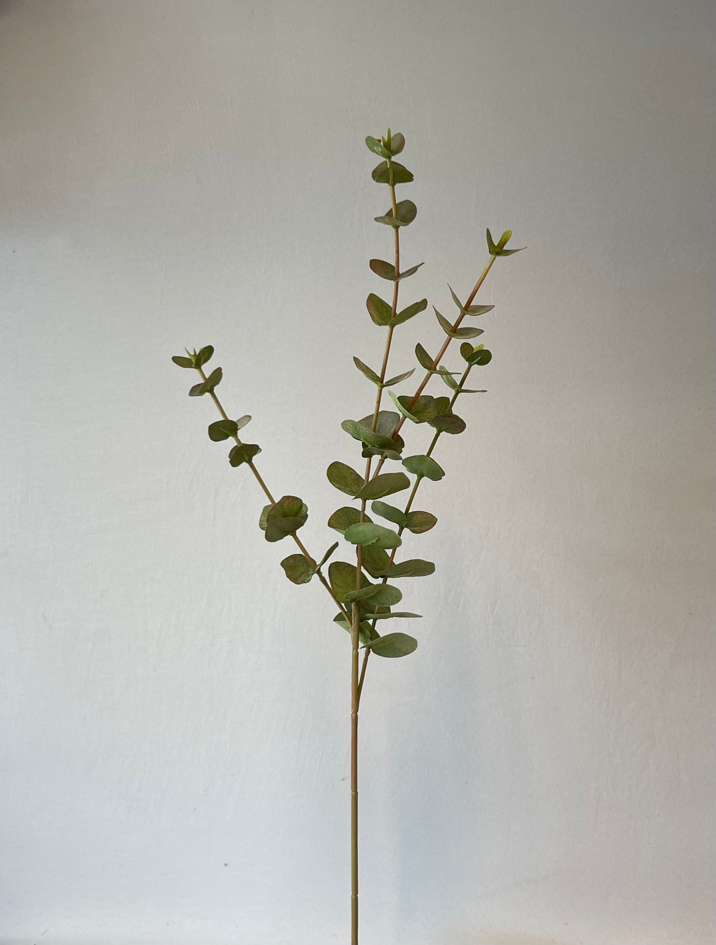 Green Eucalyptus Silver Dollar Single Stem Artificial Flowers Faux Flowers