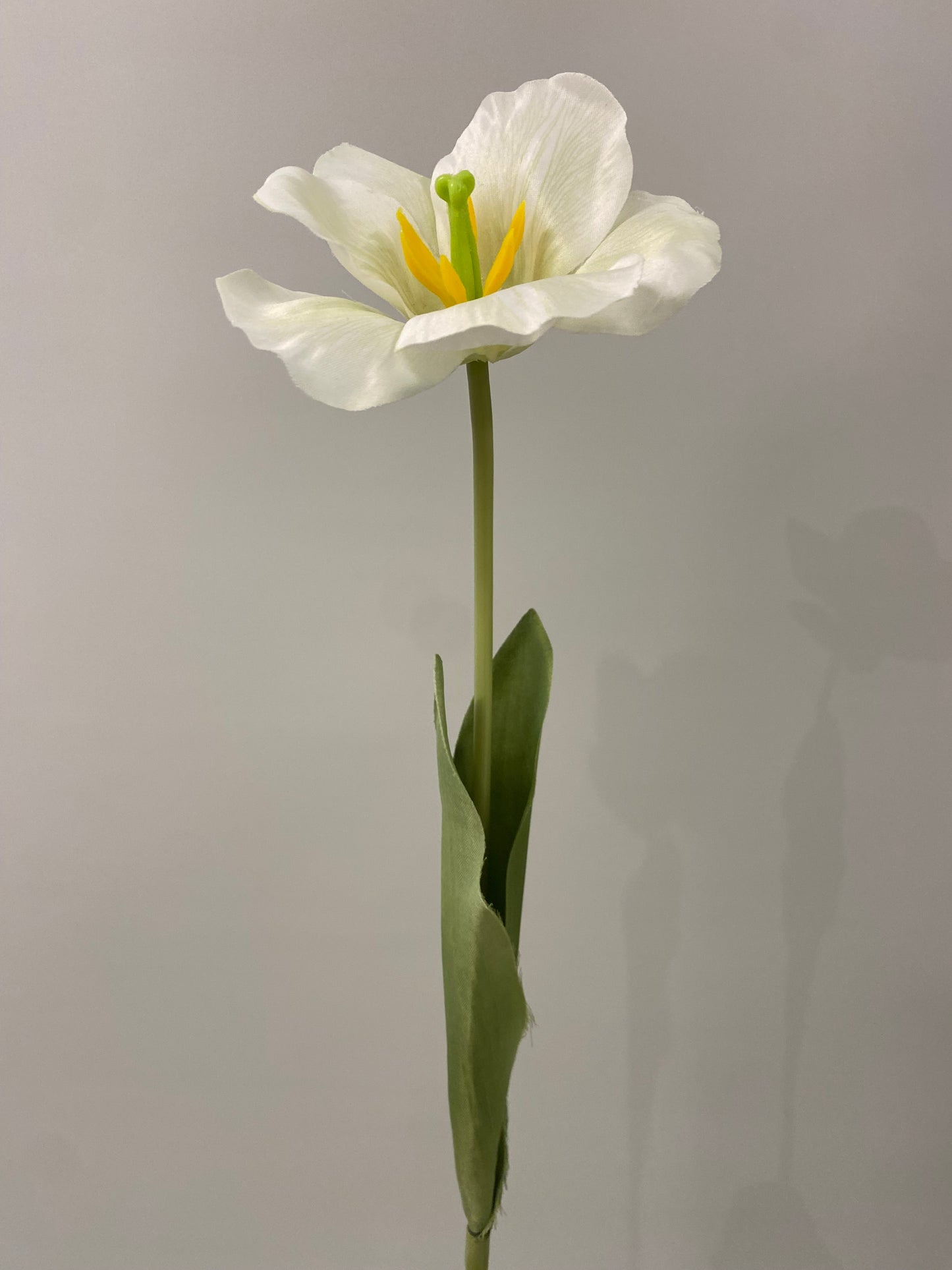 Iris White And Green Silk Single Stem Artificial Flowers