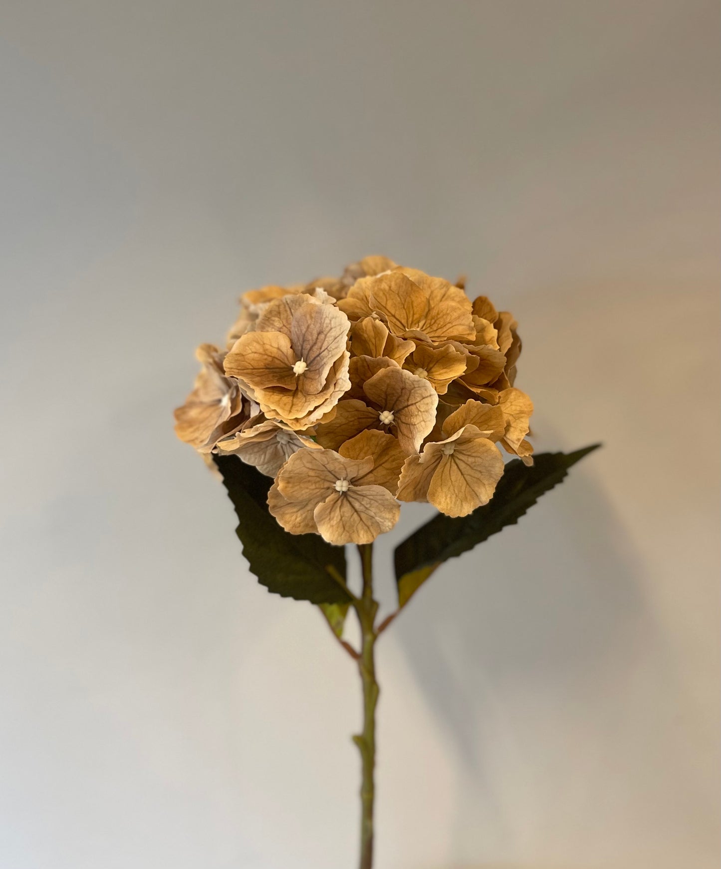Coffee Silk Hydrangea Single Stem Artificial Flowers Faux Flowers