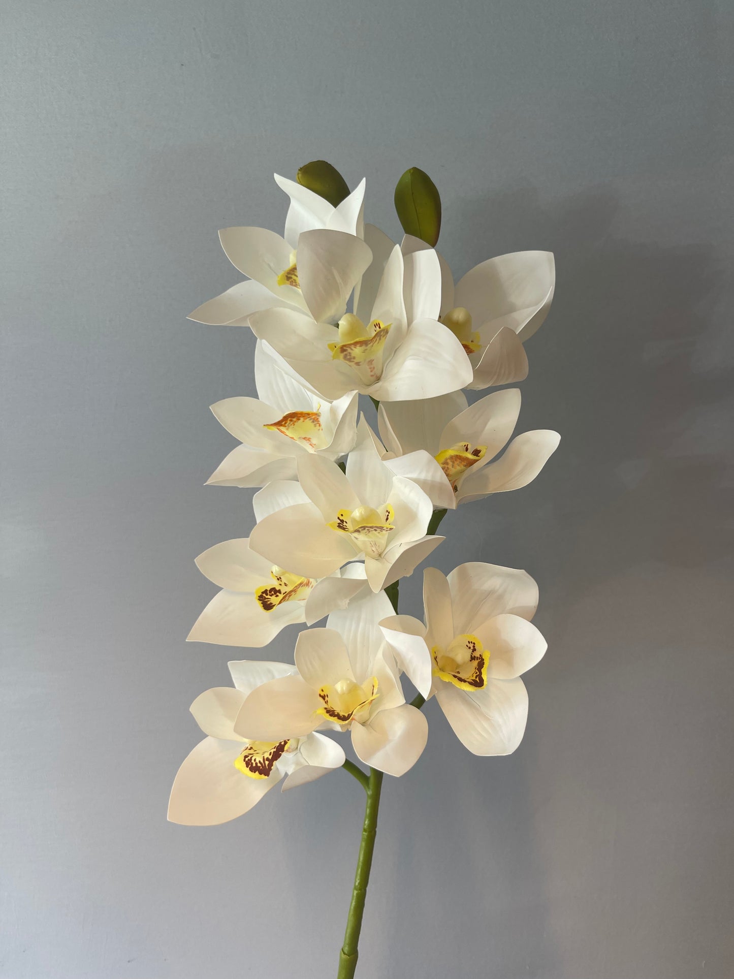 White Cymbidium Orchid Single Stem Artificial Flowers Faux Flowers