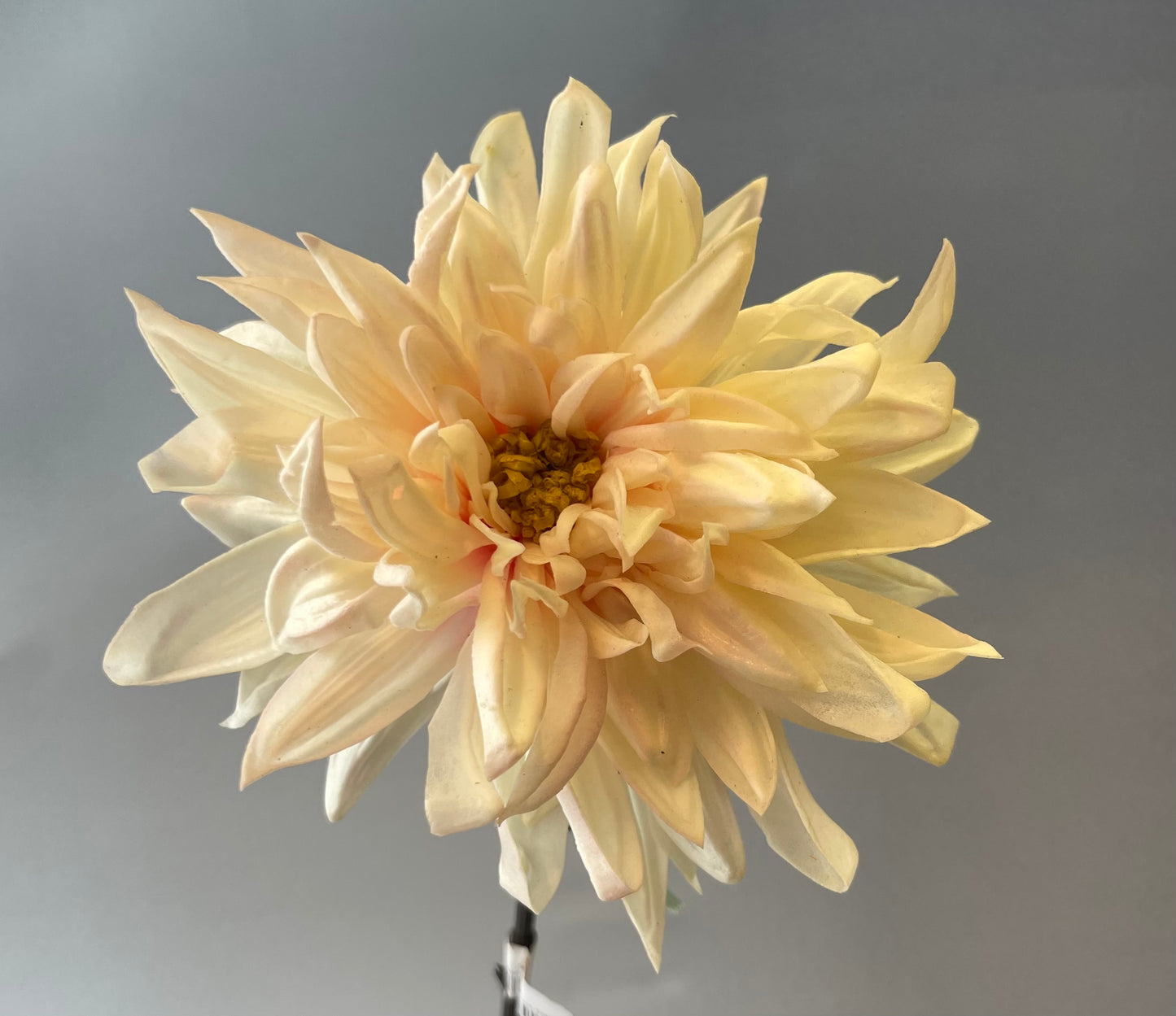 Real Touch Light Pink Dahlia Single Stem Artificial Flowers Faux Flowers