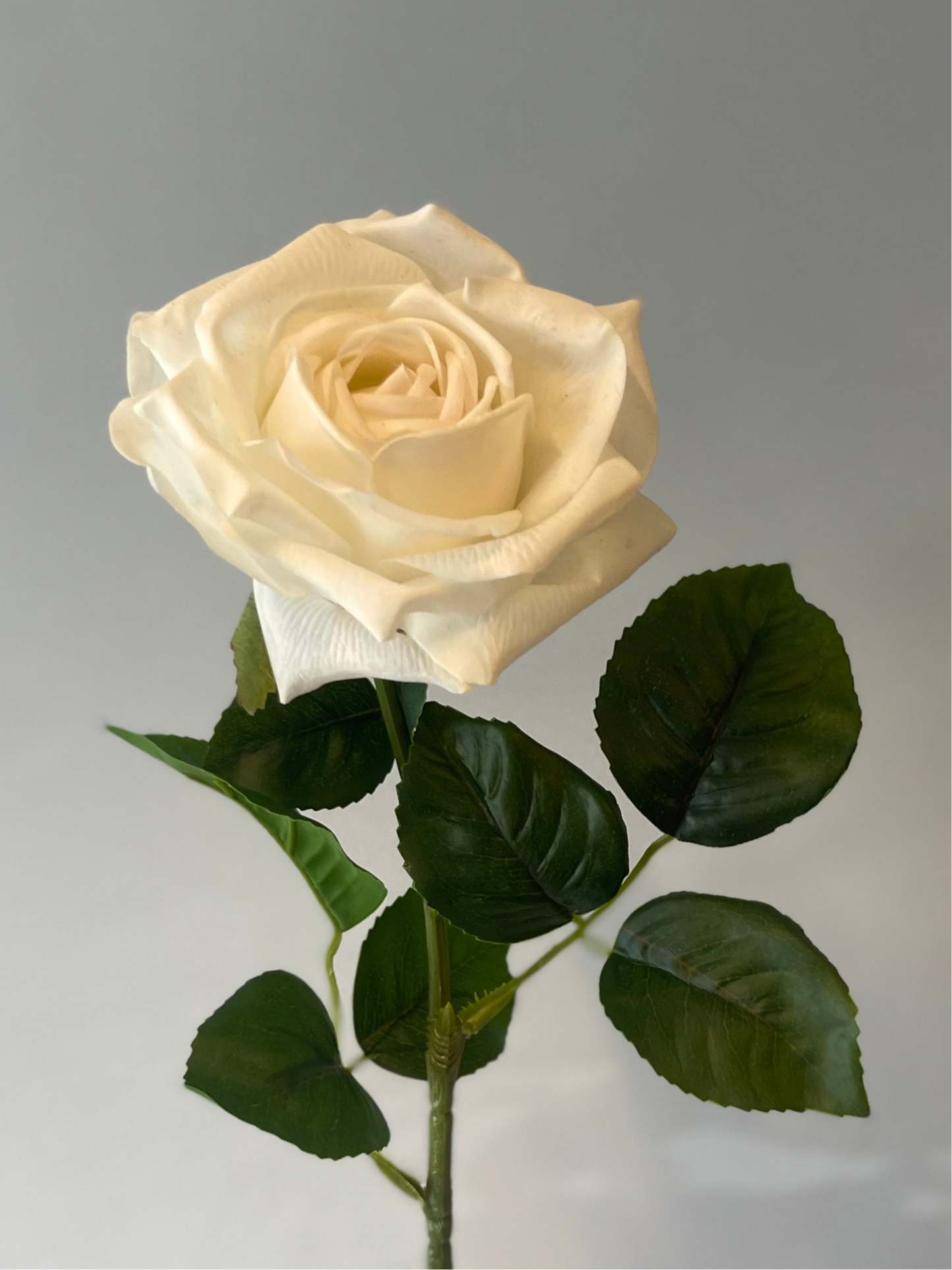 Real Touch Ivory Clara Rose Single Stem Artificial Flowers Faux Flowers