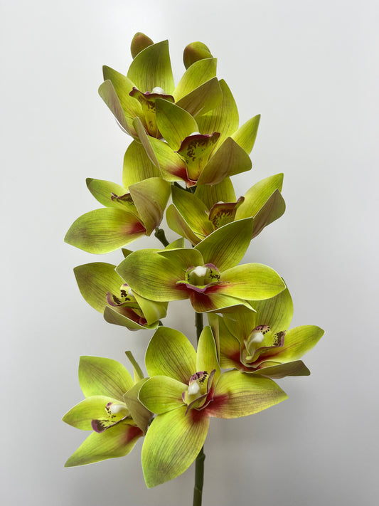 Green Orchid Cymbidium Single Stem Artificial Flowers Faux Flowers
