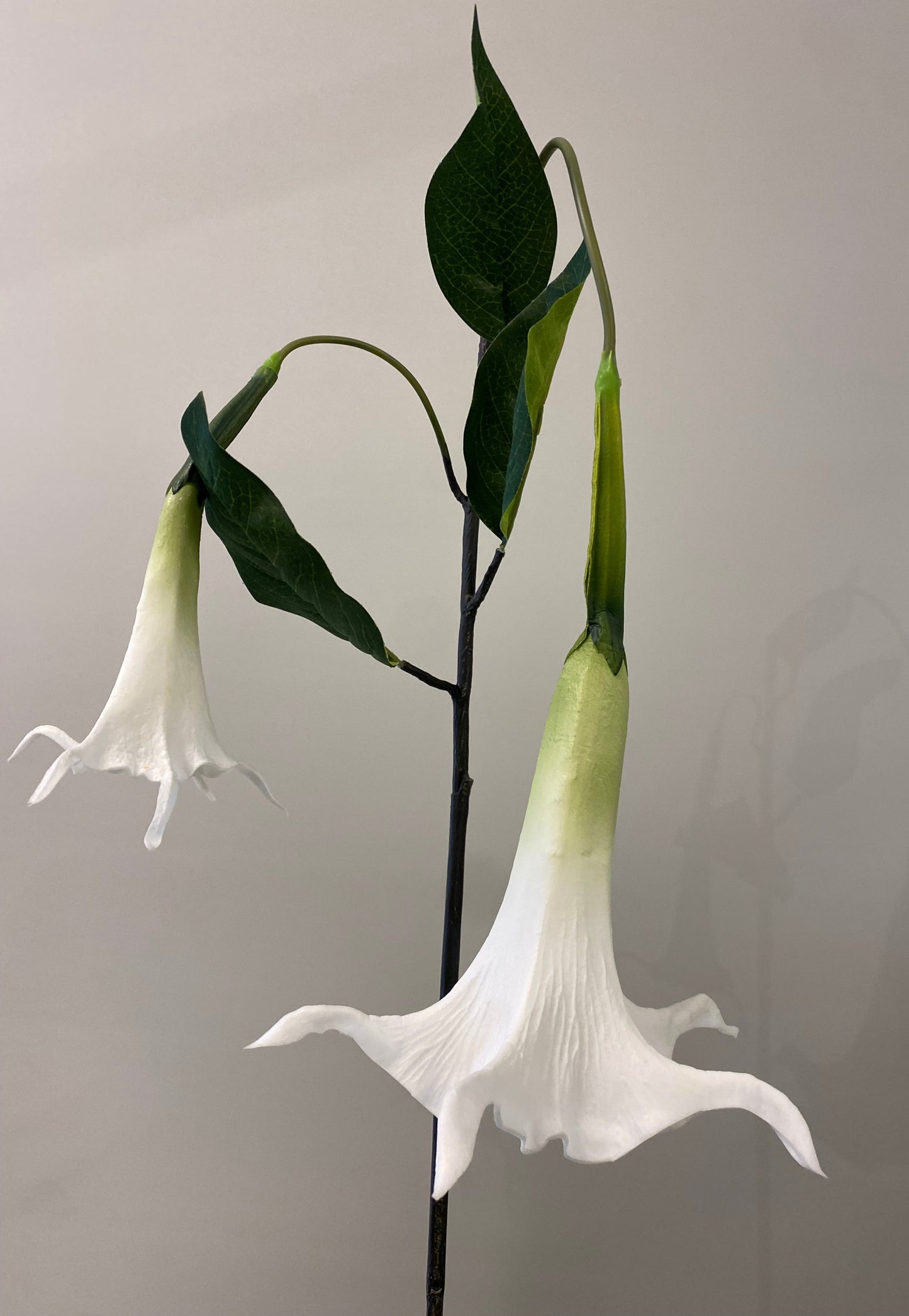Real Touch White Trumpet Lily Single Stem Artificial Faux Flowers