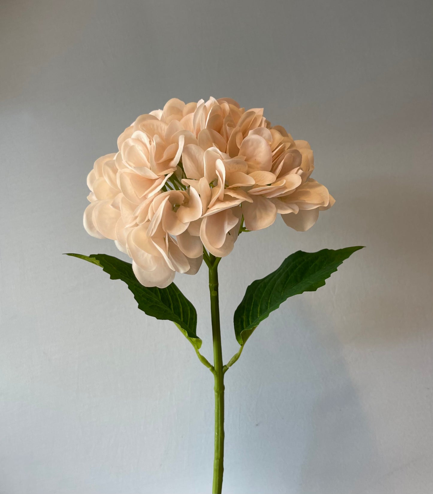 Real Touch Champagne Hydrangea Single Stem