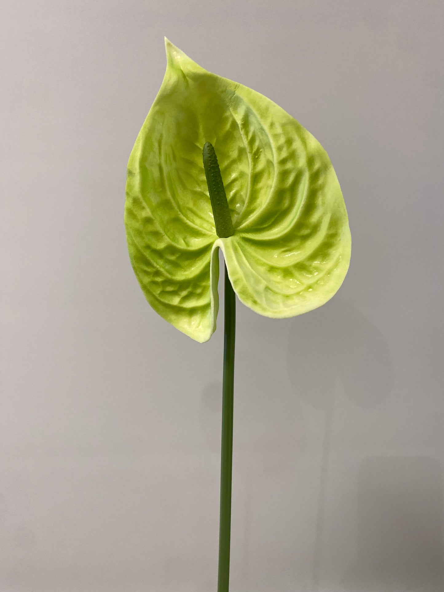 Real Touch Green Anthurium single stem Artificial Faux Flowers Small