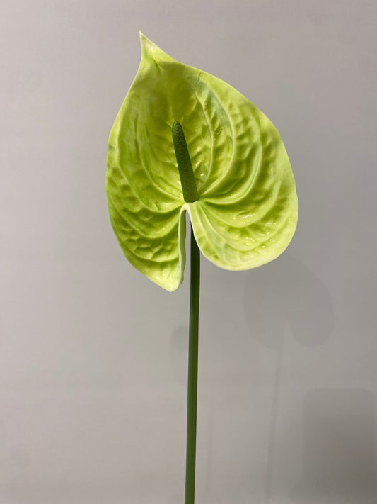 Real Touch Green Anthurium single stem Artificial Faux Flowers Small