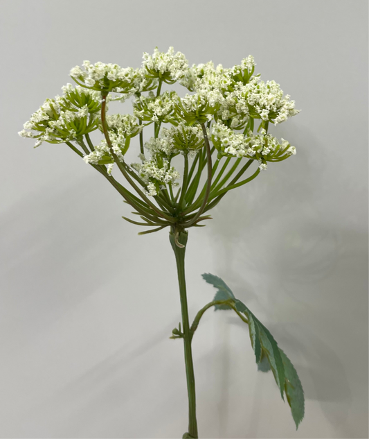 Real Touch Queen Anne's Lace Single Stem Artificial Flowers Faux Flowers
