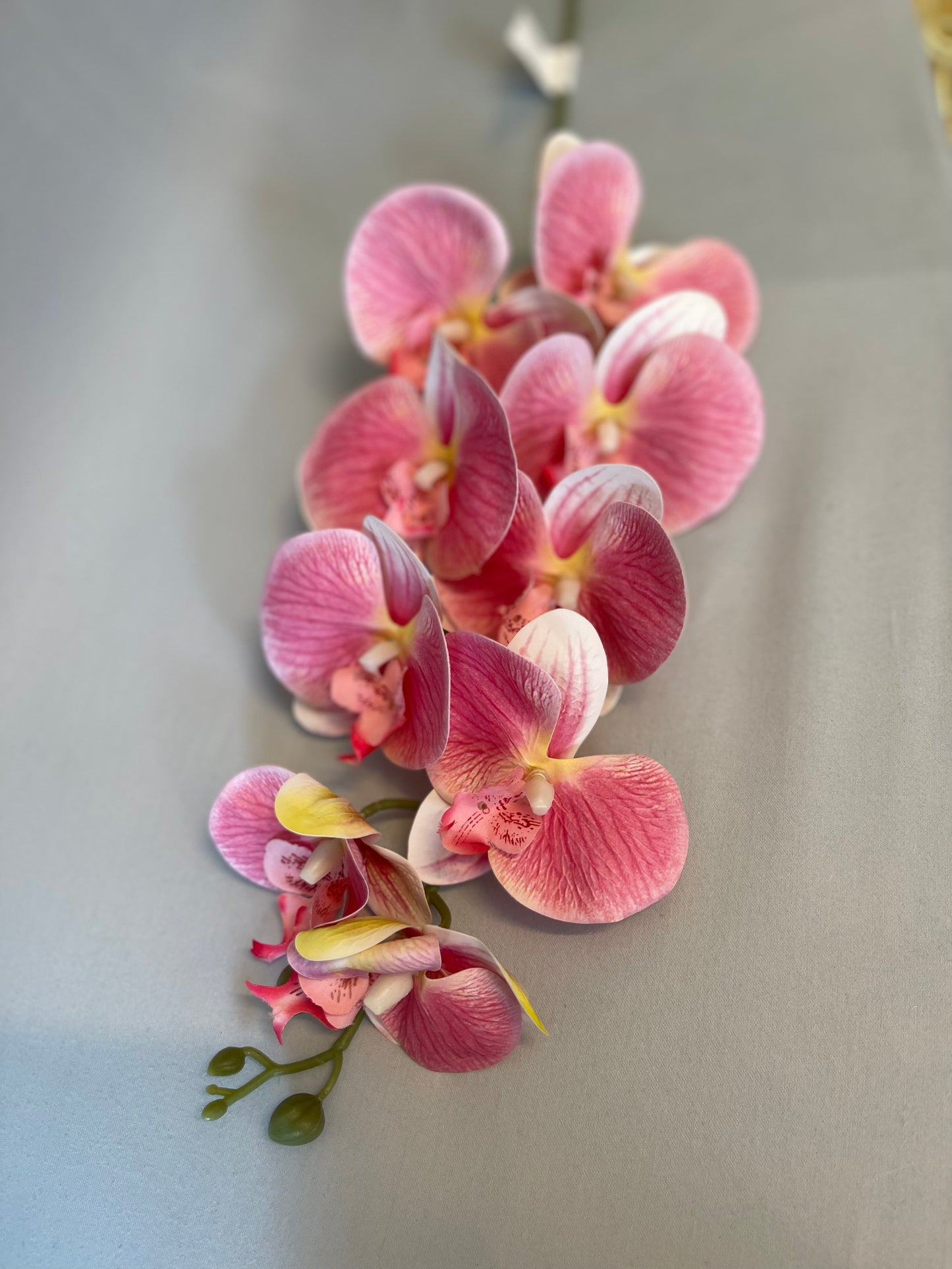 Hawaiian Pink Orchid Single Stem