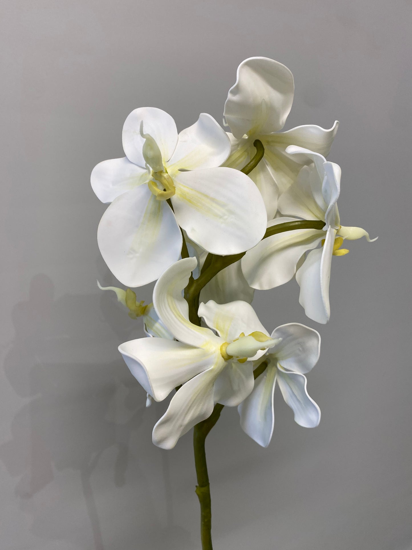 Real Touch White Vanda Orchid Single Stem Artificial Faux Flowers