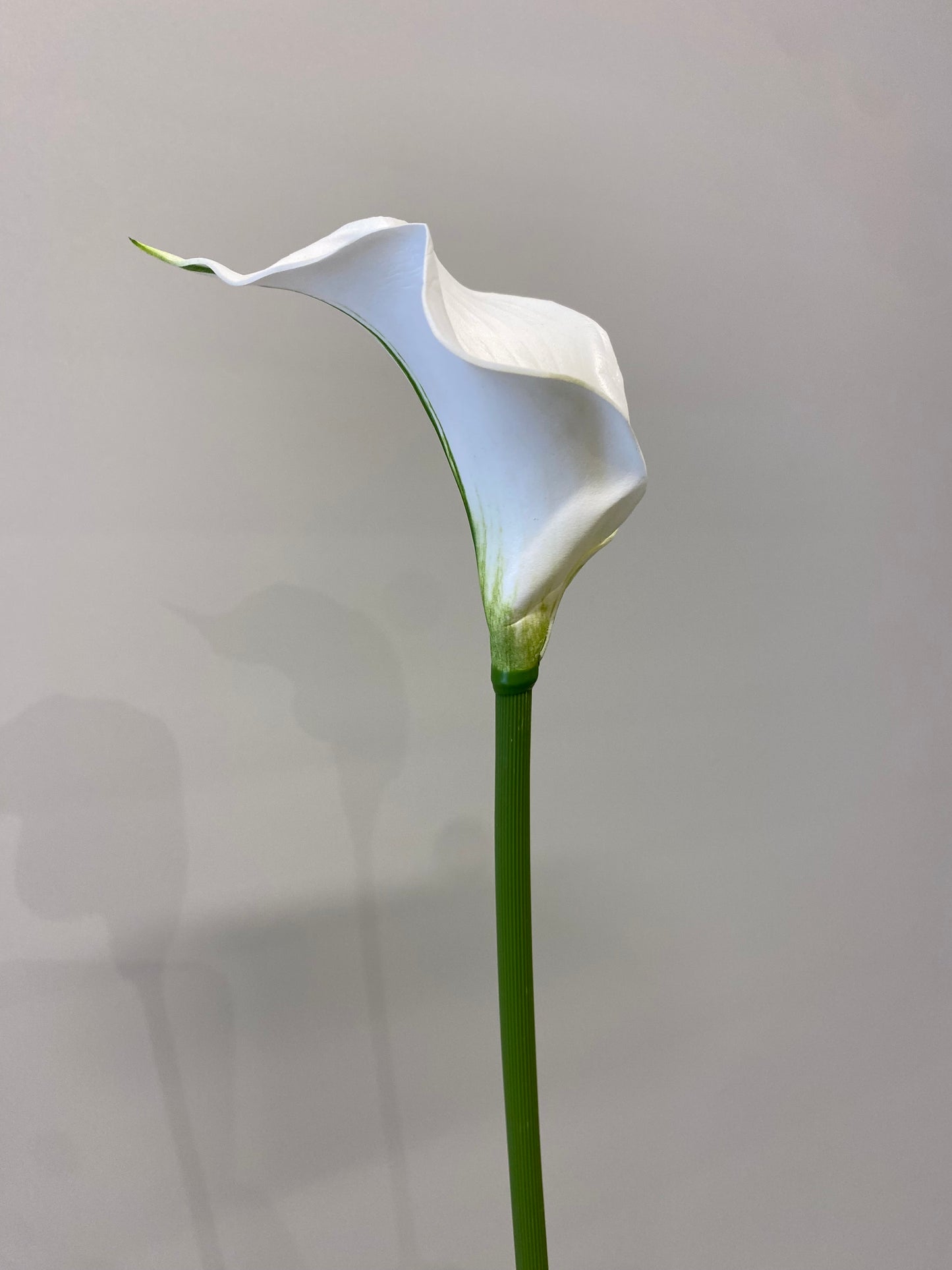 Real Touch Mini White Calla Lily Single Stem Artificial Faux Flowers